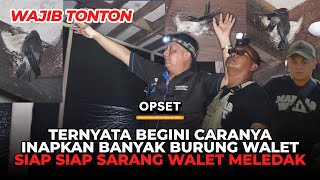 Download lagu ⛔ SCARY!!! SWALLOW CONSULTANT REVEALS SECRET TRICK TO GET SWALLOWS TO COME | PAK ALMUNA'S SWALLOW... mp3