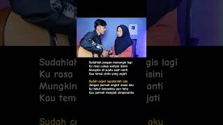 Download lagu LIRIK LAGU CAMELIA - IRWANSYAH (Sudahlah jangan menangis lagi kurasa cukup sampai disini) Cover mp3