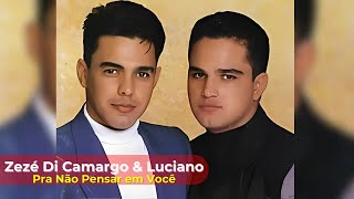 Pra Não Pensar Em Você - Zezé Di Camargo e Luciano  #sertanejoraiz #sertanejoantigo #sertanejo