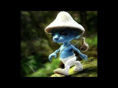 Alan Walker - The Spectre (Triangle Alliance Extended Remix 2023)