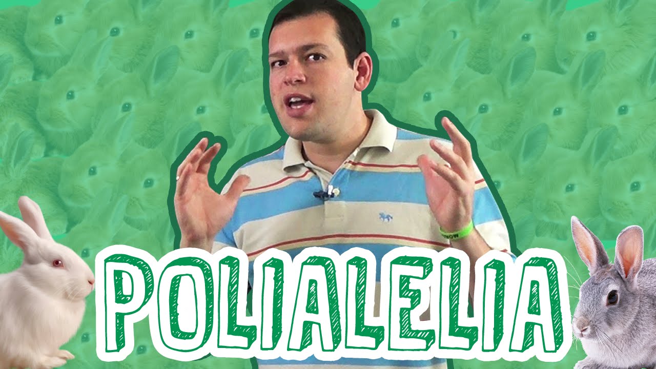 Aula Biologia - Genética - Polialelia ou Alelos Múltiplos para o Enem e Vestibulares - STOODI