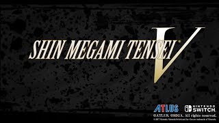 Shin Megami Tensei V A Goddess in Training 3