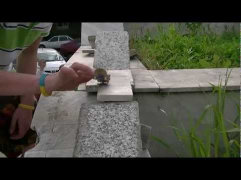 Outdoor Sesion With SFBKrue