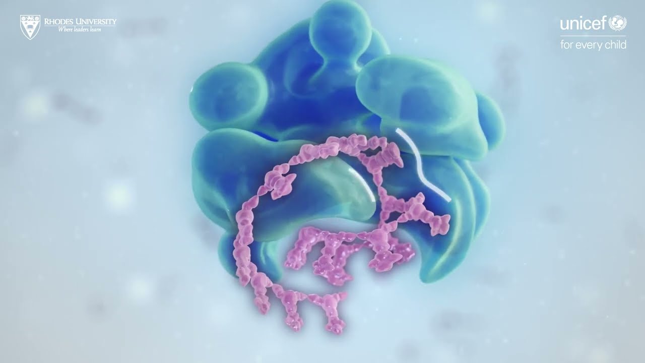 Aptamers: the next generation of diagnostic tests (UNICEF Innovation Nodes and RUBIC)