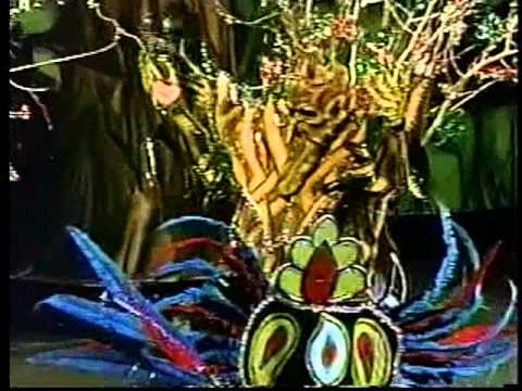 The Downtowners: 2006 Mummer's Parade Finale