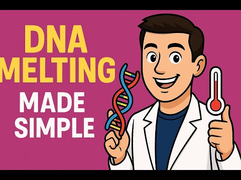 Detecting Nucleic Acids, Melting dsDNA into ssDNA