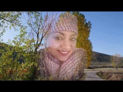 SI'I LOSE - HAVILI E FUNGA MO'ONIA - LINNA G VELENGA