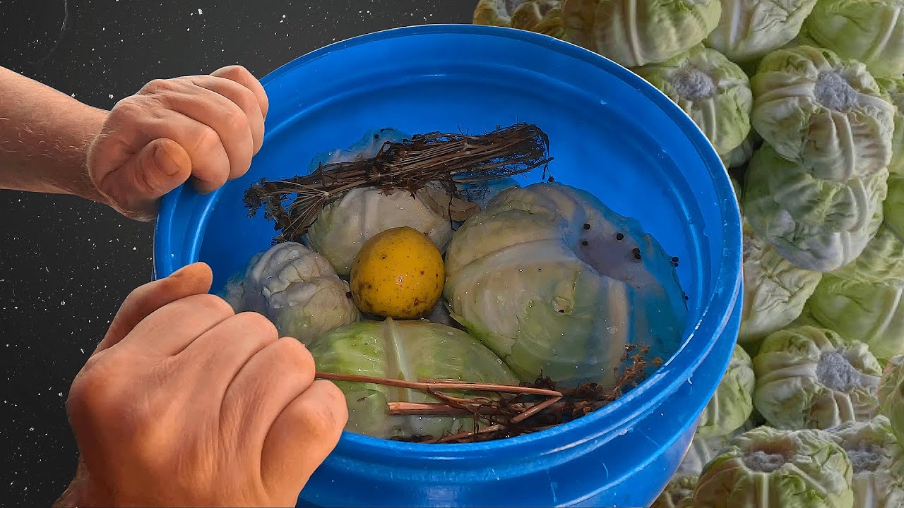 CELEBRA VARZA MURATA CARE NU TREBUIE VANTURATA - MARCA SANDU GOSPODARUL