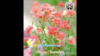 Digging Your Love w Lyrics/ Karaoke
