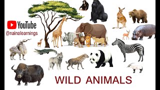 Wild Animals Hindi Eng Watch HD Mp4 Videos Download Free Wild Animals Hindi Eng Watch HD Mp4 Videos Download Free