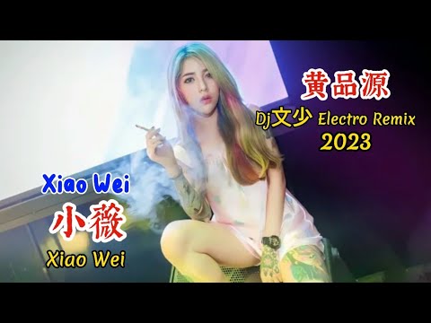 黄品源 - 小薇 - Xiao Wei - (Dj文少 Electro Remix 2023) #dj抖音版2023