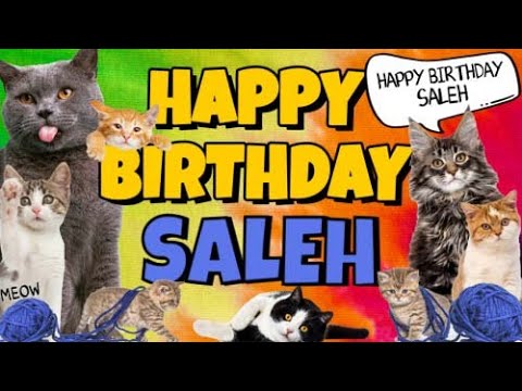Happy Birthday Saleh! Crazy Cats Say Happy Birthday Saleh (Very Funny)
