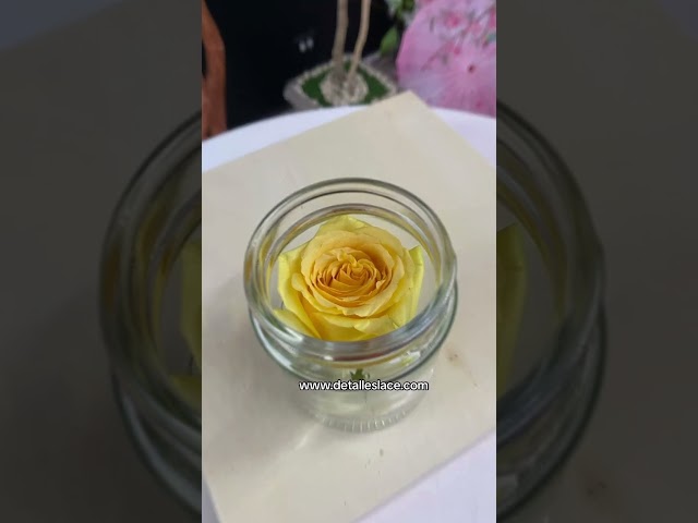 Vídeo relacionado con Mundo Eterno Rosa ETERNA Rojo 55CM Sant Jordi PRESERVADA