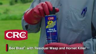 CRC Bee Blast® with Residual Wasp and Hornet Killer. Fast acting, High Strength Insecticide.