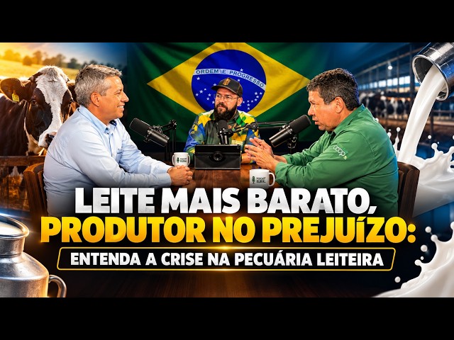Leite Mais Barato, Produtor no Prejuízo: Entenda a Crise na Pecuária Leiteira.