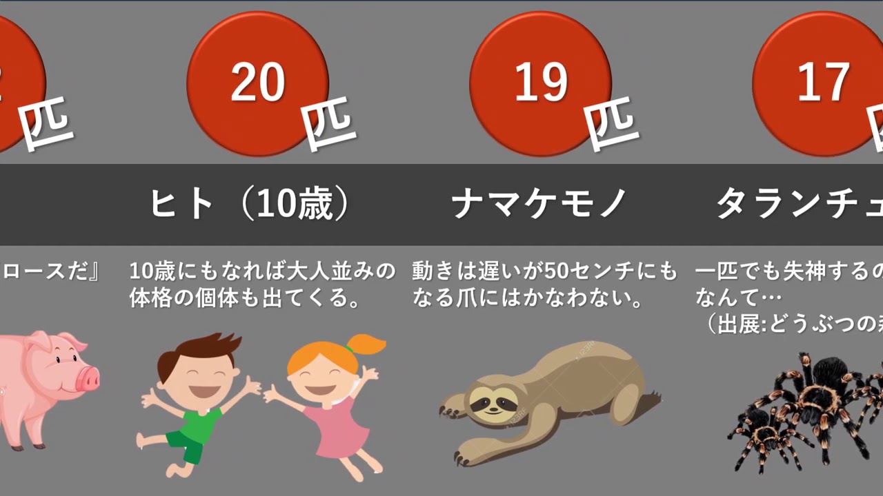ヒト一人を倒すには〇匹いる？動物別ランキング