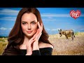 ВЕДЬМА И ОСЕЛ ♥ ЛЕГЕНДЫ РУССКОГО  РОКА WLV♥ НЕТ ПОПСЫ - ТОЛЬКО ХИТЫ ♥ RUSSIAN MUSIC HITS WLV