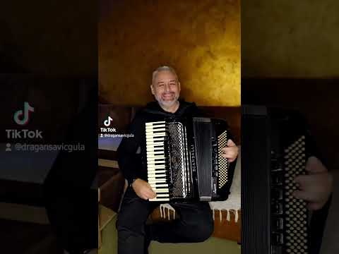 Ramino kolo - Dragan Gula Savic - harmonika
