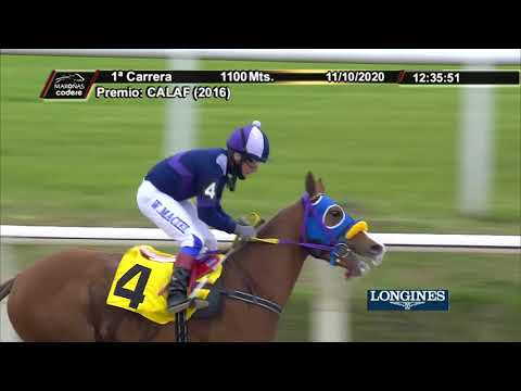 11/10/2020 – Hipodromo Maroñas – Carr 1 - CALAF (2016)