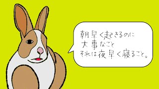 【アニメ】カイウサギの独り言