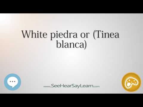 White piedra or Tinea blanca 🔊