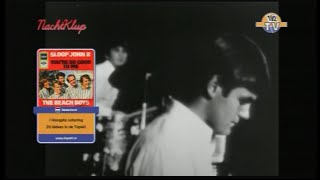 The Beach Boys - You're So Good To Me ( Promo 1966 Rebroadcast 192 TV HQ Audio )