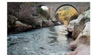 CORRE MONDEGO CORRE MONDEGO