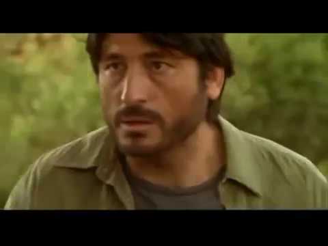 LA NOCHE DE LOS GIRASOLES de Jorge Sánchez-Cabezudo (Trailer)