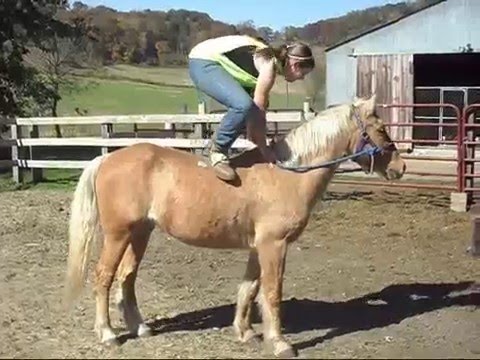 f e a r l e s s - Or is it in my head?