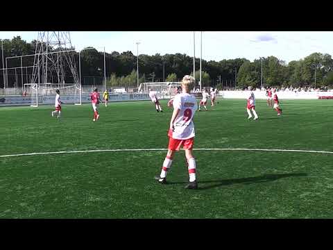 20240914 1 DOVO JO12-1 - Valleivogels JO12-1