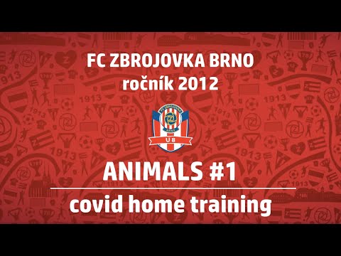 FCZB U8 Covid Home Training - Animals