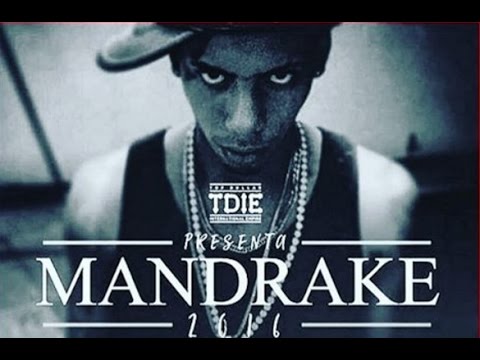 Potencia Lirical Ft Mandrake El Malocorita - TAMO FULL