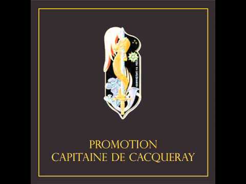 Le Printemps à Novel - Promotion Capitaine de Cacqueray (MMXI)