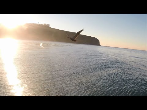 Wavestorm Surfing (soft top) // GoPro