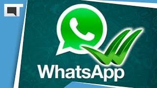 Whatsapp: como evitar que saibam que você esteve online no comunicador [Dicas e