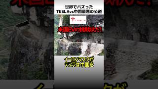 世界でバズったテスラの中国悪路走行