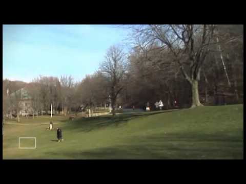 Golden Eagle Tries To Snatch Baby In Montreal Is Fake --- 'Proof'