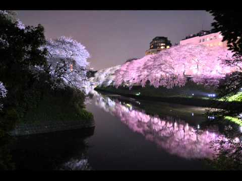 Addictive Glance - Sakura (Wellenrausch Remix)