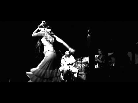 Fusión Flamenco, Handpan (hang). Cuadro flamenco de Irene rueda. Rubén Llorach