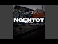 Ngentot