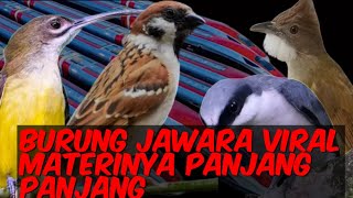 Download lagu INI BEDA Materi panjang | gereja tarung cucak jenggot pijantung pisang & jinjing petulak mp3 Download lagu INI BEDA Materi panjang | gereja tarung cucak jenggot pijantung pisang & jinjing petulak mp3