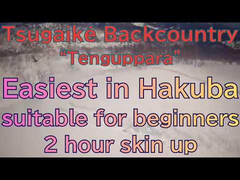 Backcountry Ski at Tsugaike Kogen Ski Resort: &quot;Tenguppara&quot; area, explained in English with maps