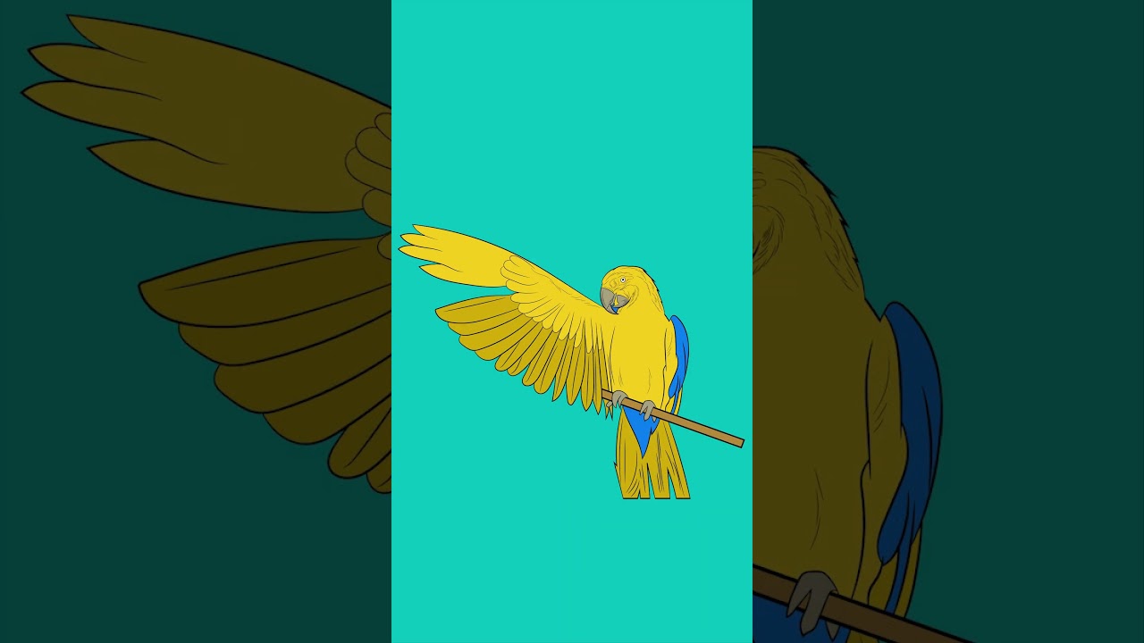 VECTOR BIRD || ADOBE ILLUSTRATOR ART || DIGITAL ART