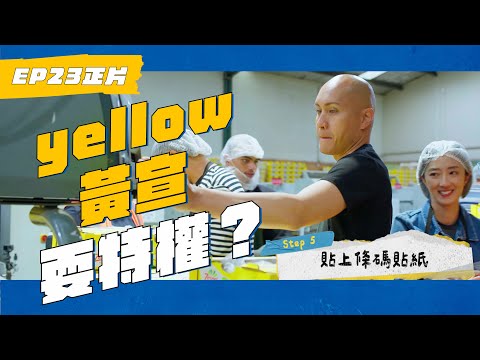 EP23 騙台灣人不懂？桂綸鎂不食人間煙火？！陳柏霖不演了！ #whatatrip #瑞斌12小時長效防蚊液 #灰魚影像