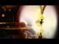 Aarktica - Young Light