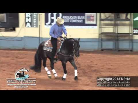 Holier Then Thou ridden by Arno Honstetter - 2013 NRHA Futurity(Open Finals - Sec. 2)
