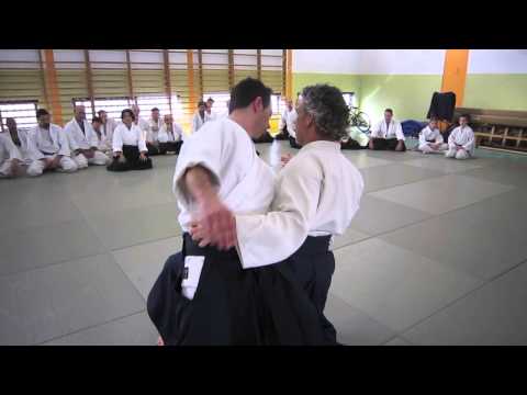 Johanna and Yoram Aikido Ukemi Workshop