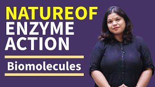 Nature of Enzyme Action: Class 11 Biology - Biomolecules