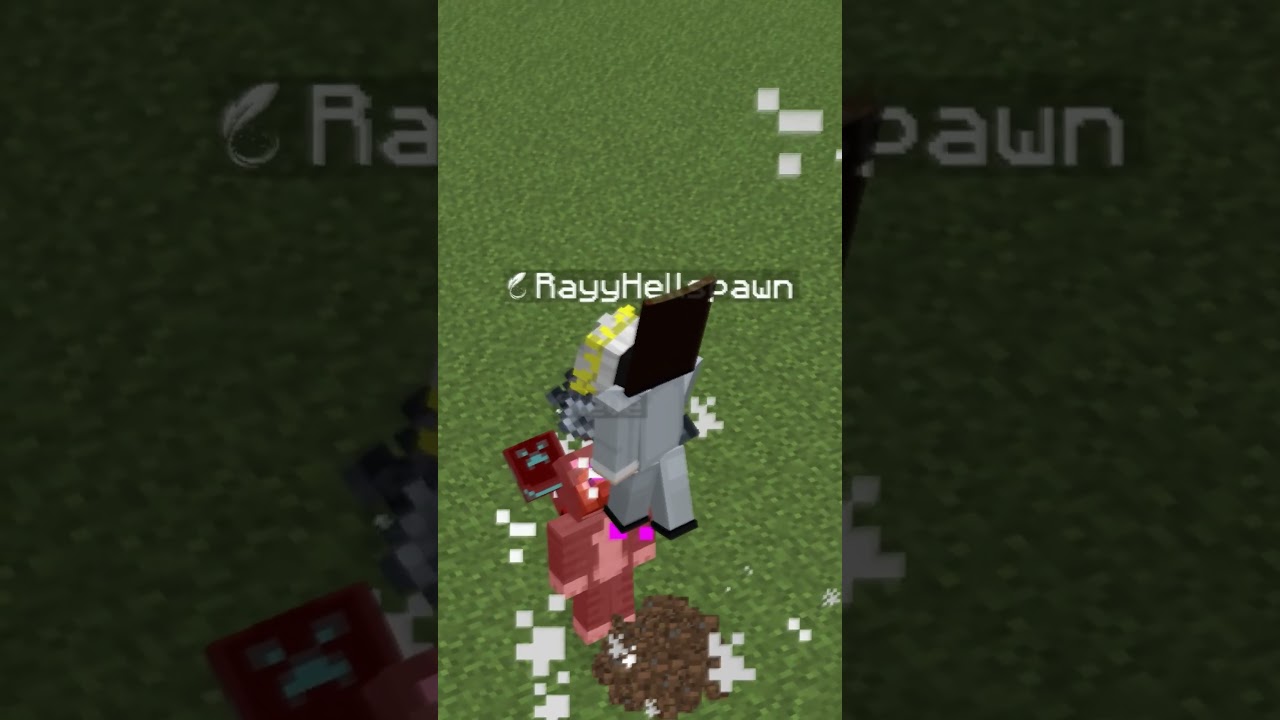 Shields are officially USELESS in Minecraft 1.21 ❌