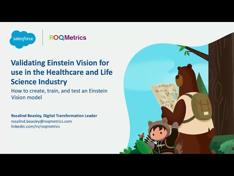 Validating Einstein Vision for use in the Healthcare and Life Science Industry